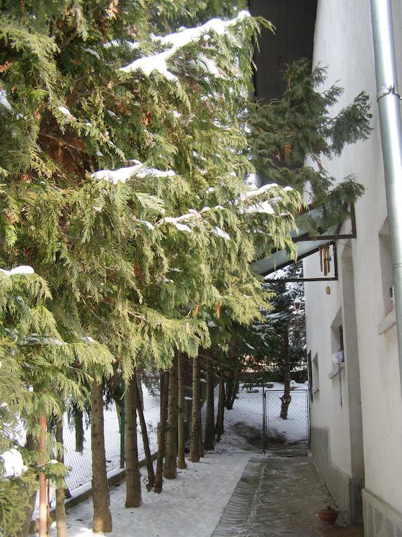 Budakeszi Maganszallas 部屋 写真