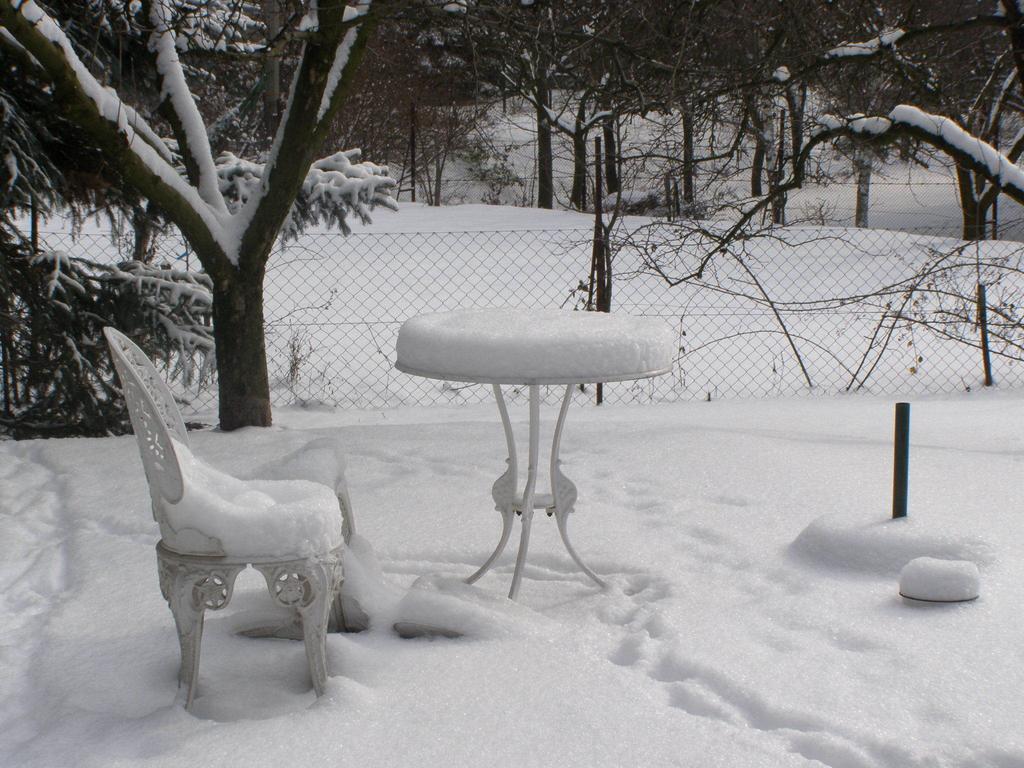 Budakeszi Maganszallas 部屋 写真